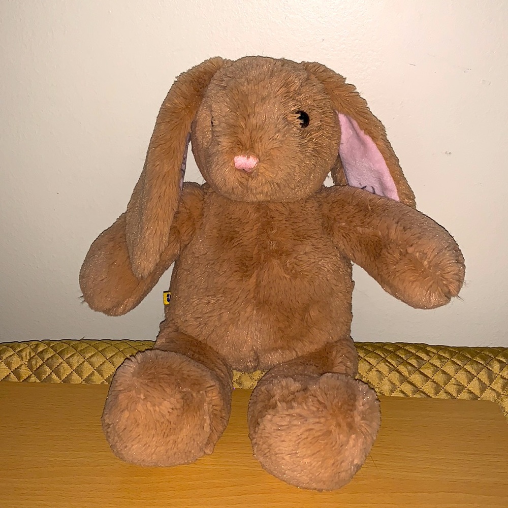 Build a Bear Bunny Ear has been written on